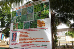 1_swetharanyeswarar-temple-8